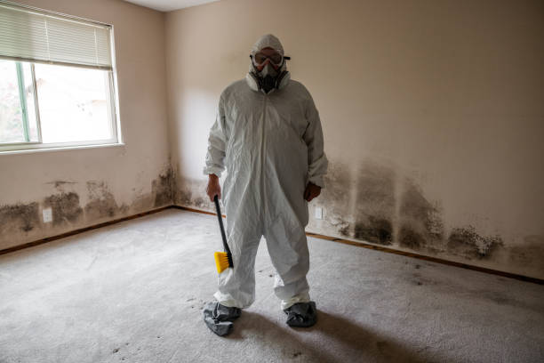 Best Forensic Mold Investigation  in China Grove, TX